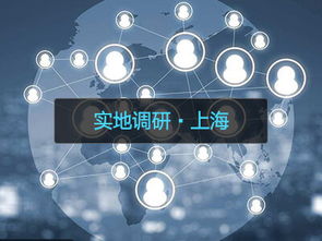 信息发展致力于监狱信息化建设 市场规模逐年上升及其信息咨询服务的发展